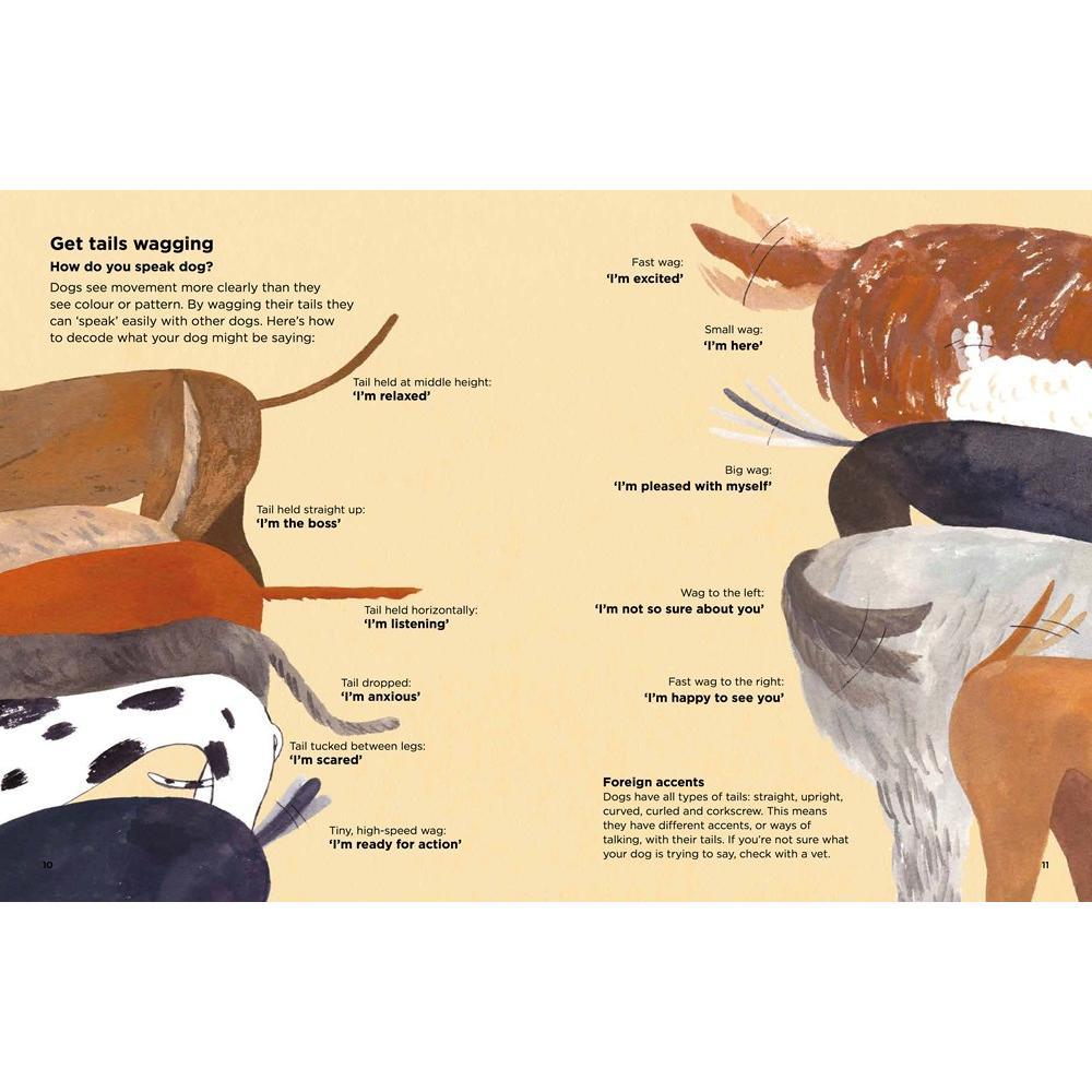 Do Dogs Have Different Accents